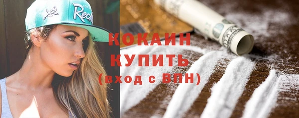 гашик Кулебаки