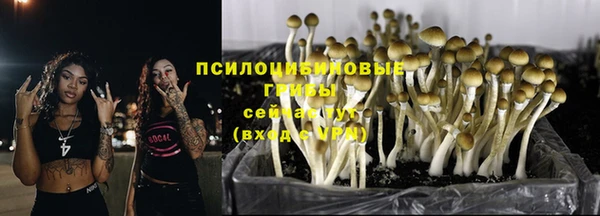 гашик Кулебаки