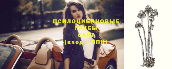 гашик Кулебаки