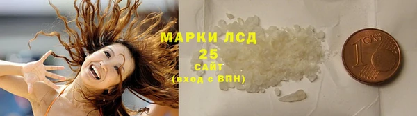хмурый Ладушкин