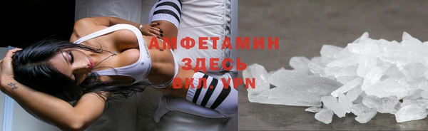 гашик Кулебаки