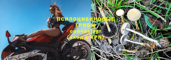 герыч Куйбышев