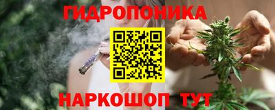 крисы Волжск