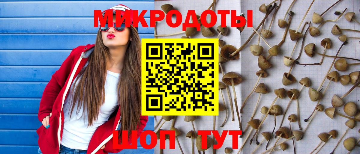 Псилоцибиновые грибы ЛСД  Вход с VPN  Малгобек  наркота  Галлюциногенные грибы ЛСД 