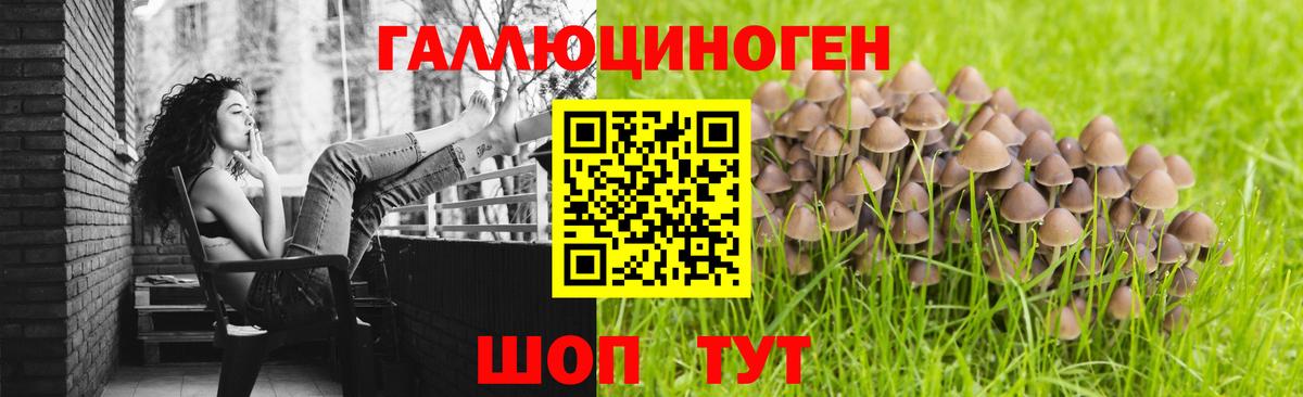 Галлюциногенные грибы мицелий  Малгобек 