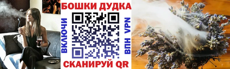 мега ONION  цены   Малгобек  Марихуана тримм 