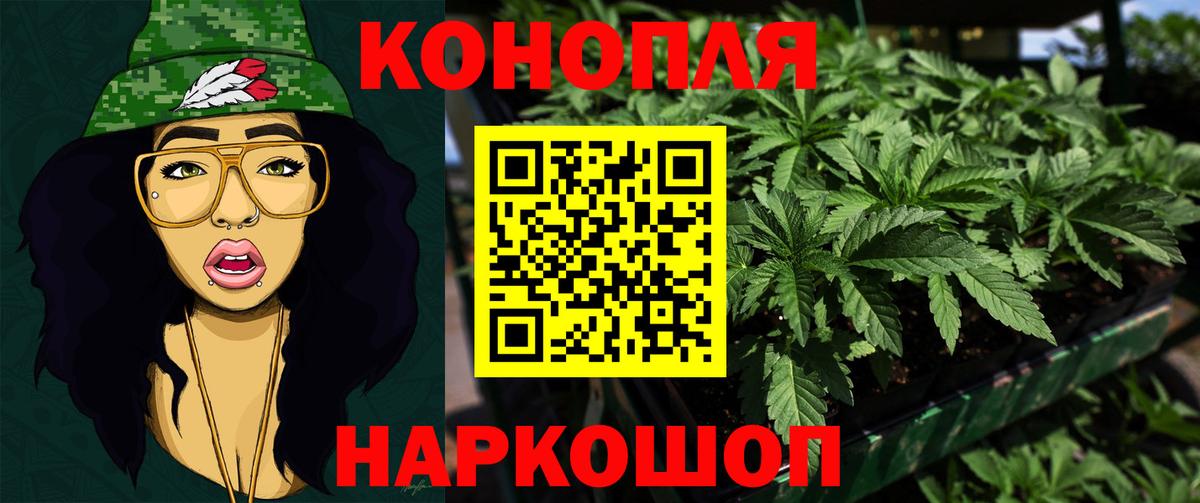 Конопля SATIVA & INDICA Малгобек